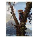 Suche nach lemur poster Lemor
