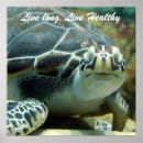 Suche nach lustige schildkröte poster Tier