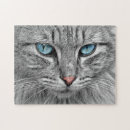 Suche nach blaue augen puzzle Katze