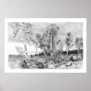 Suche nach birkenbaum poster Illustration