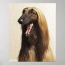 Suche nach afghan poster Vertikal