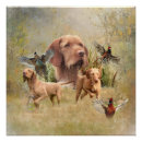 Suche nach vizsla poster Jagd