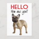 Suche nach frenchie karten Hund