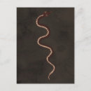 Suche nach schlange postkarten Ureinwohner