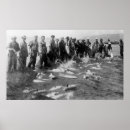 Suche nach lachse poster Staaten