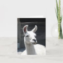 Suche nach blanko karten Foto