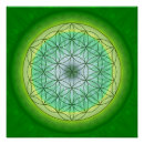 Suche nach chakra symbole poster Reiki