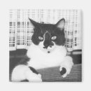 Suche nach schwarzer schnurrbart magnete Katze
