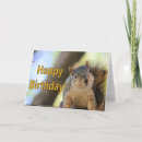 Suche nach eichhörnchen geburtstag karten Natur