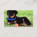 Suche nach rottweiler visitenkarten Tier