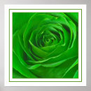 Suche nach abstrakte rose poster Natur
