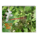 Suche nach käfer kalender Wild lebende tiere