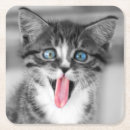 Suche nach babytier untersetzer Süße tiere