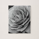 Suche nach weiße rosen puzzle Blumig