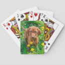 Suche nach puppy spielkarten Niedliches baby