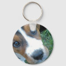Suche nach basset schlüsselanhänger Niedlich