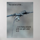 Suche nach sarcastic poster Humorvoll