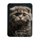 Suche nach cat magnete Niedlich