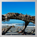 Suche nach driftwood poster Meer