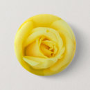 Suche nach gelbe rosen buttons Schön