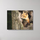 Suche nach niedlicher fuchs leinwandbilder Tierwelt