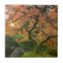 Suche nach japanischer garten fliesen Fall