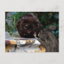 Suche nach versöhnung postkarten Freundschaft