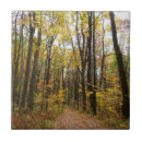 Suche nach goldener herbst fliesen Landschaft
