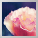 Suche nach rosa rosen poster Elegant