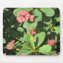 Suche nach ab mousepads Natur