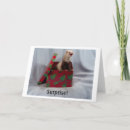 Suche nach frettchen karten Niedlich