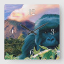 Suche nach vulkan wanduhren Gorilla