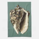 Suche nach muscheln geschirr tücher Ozean