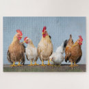 Suche nach hahn puzzle Bauernhof