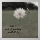 Suche nach samen des lebens poster Löwenzahn