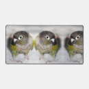 Suche nach grüner papagei mousepads Vogel