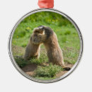 Suche nach murmeltiere ornamente Nagetier