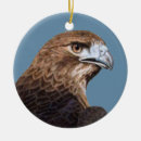 Suche nach schwanz ornamente Raubvogel