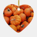 Suche nach halloween kürbis ornamente Bauernhof