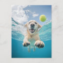 Suche nach niedliches tennis postkarten Hund