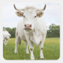 Suche nach stehend aufkleber Landwirtschaft