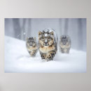 Suche nach tierfamilie poster Natur