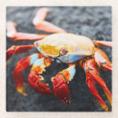 Suche nach ecuador untersetzer Galapagos