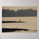 Suche nach mississippi river poster Fotografie