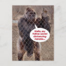 Suche nach gorilla postkarten Lustig
