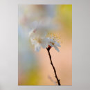 Suche nach atemberaubend poster Blume