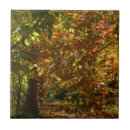 Suche nach herbstlaub fliesen Bäume