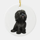 Suche nach shih tzu ornamente Hunde