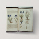 Suche nach iris accessoires Pflanze