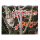 Suche nach nagetier kalender Natur